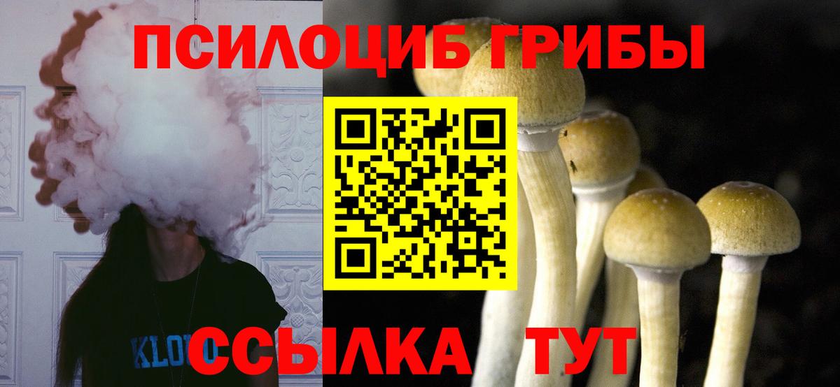Феодосия  Псилоцибиновые грибы Psilocybe  Вход с VPN 